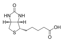 Biotine