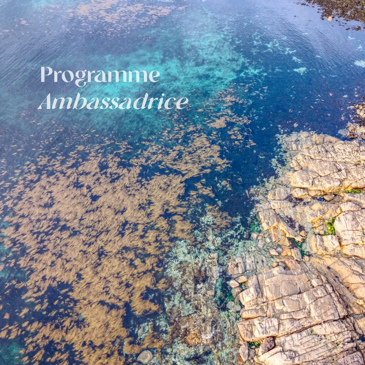 Notre programme Thaléïs Ambassadrice, devenez partenaire et une voix de l'océan.